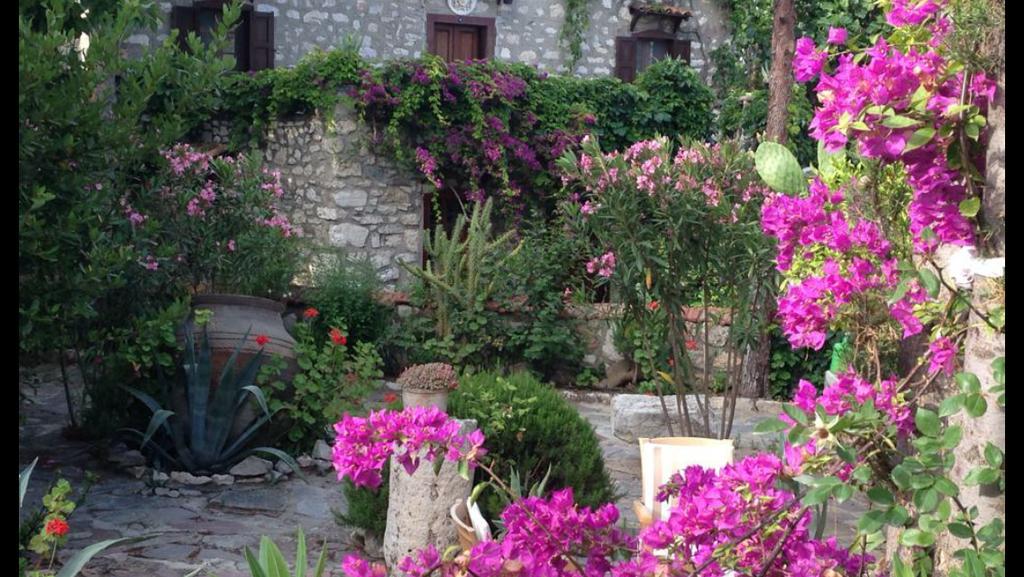 Medusa House Butik Hotel Didim Bagian luar foto