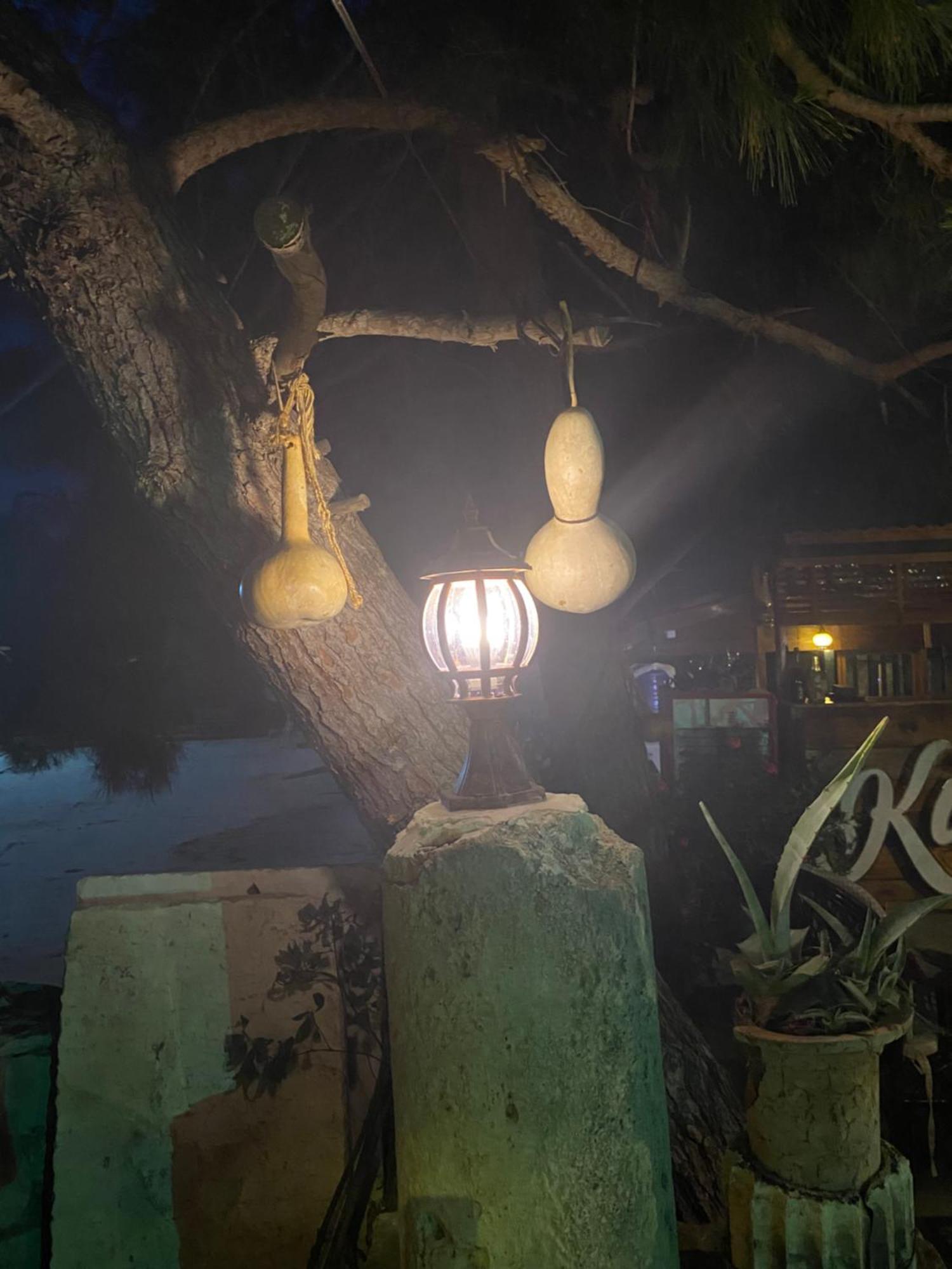 Medusa House Butik Hotel Didim Bagian luar foto