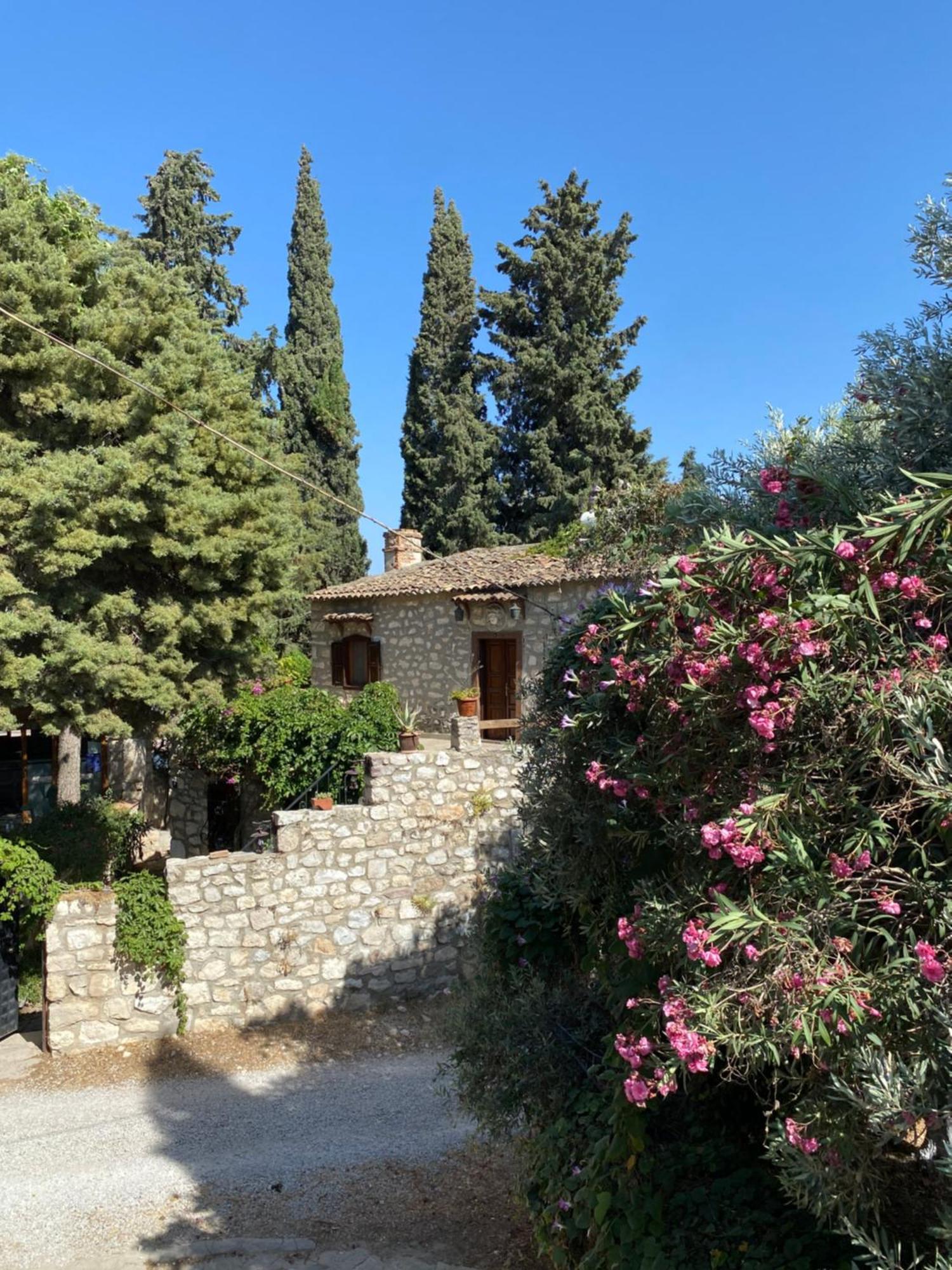 Medusa House Butik Hotel Didim Bagian luar foto