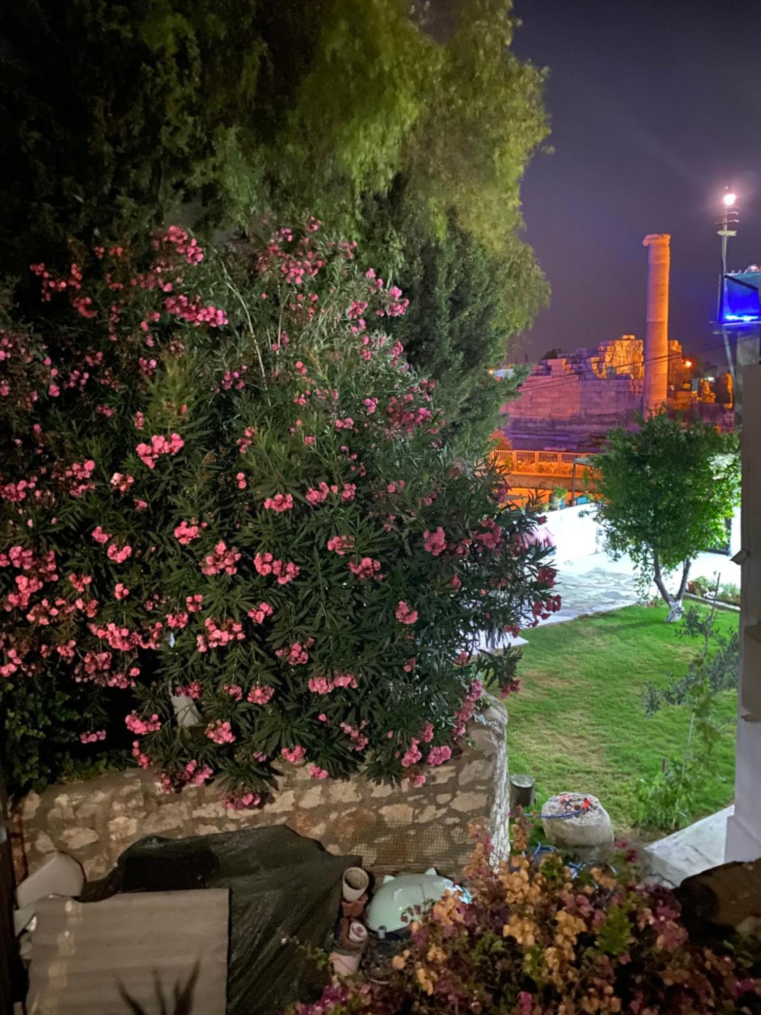 Medusa House Butik Hotel Didim Bagian luar foto
