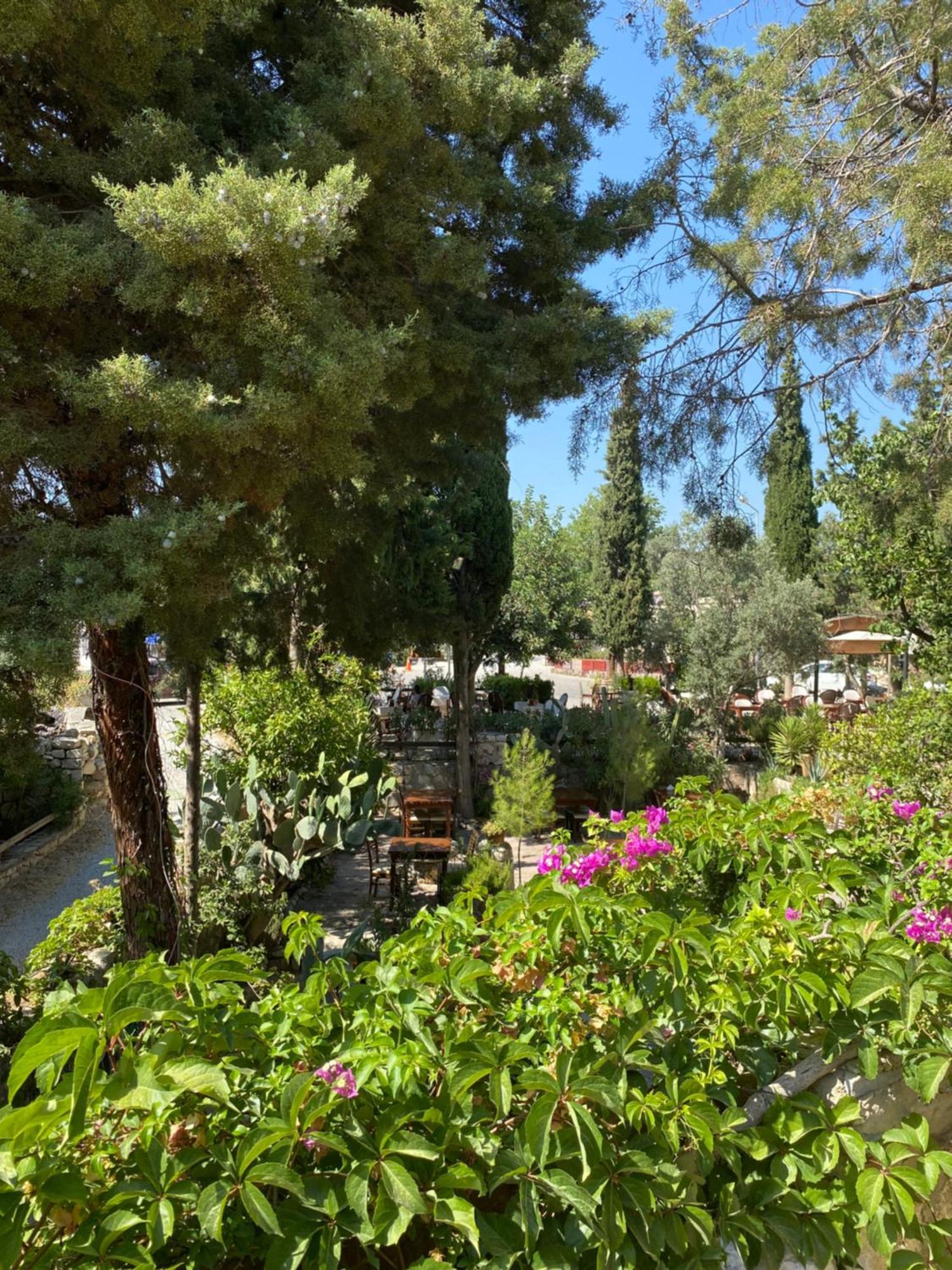 Medusa House Butik Hotel Didim Bagian luar foto